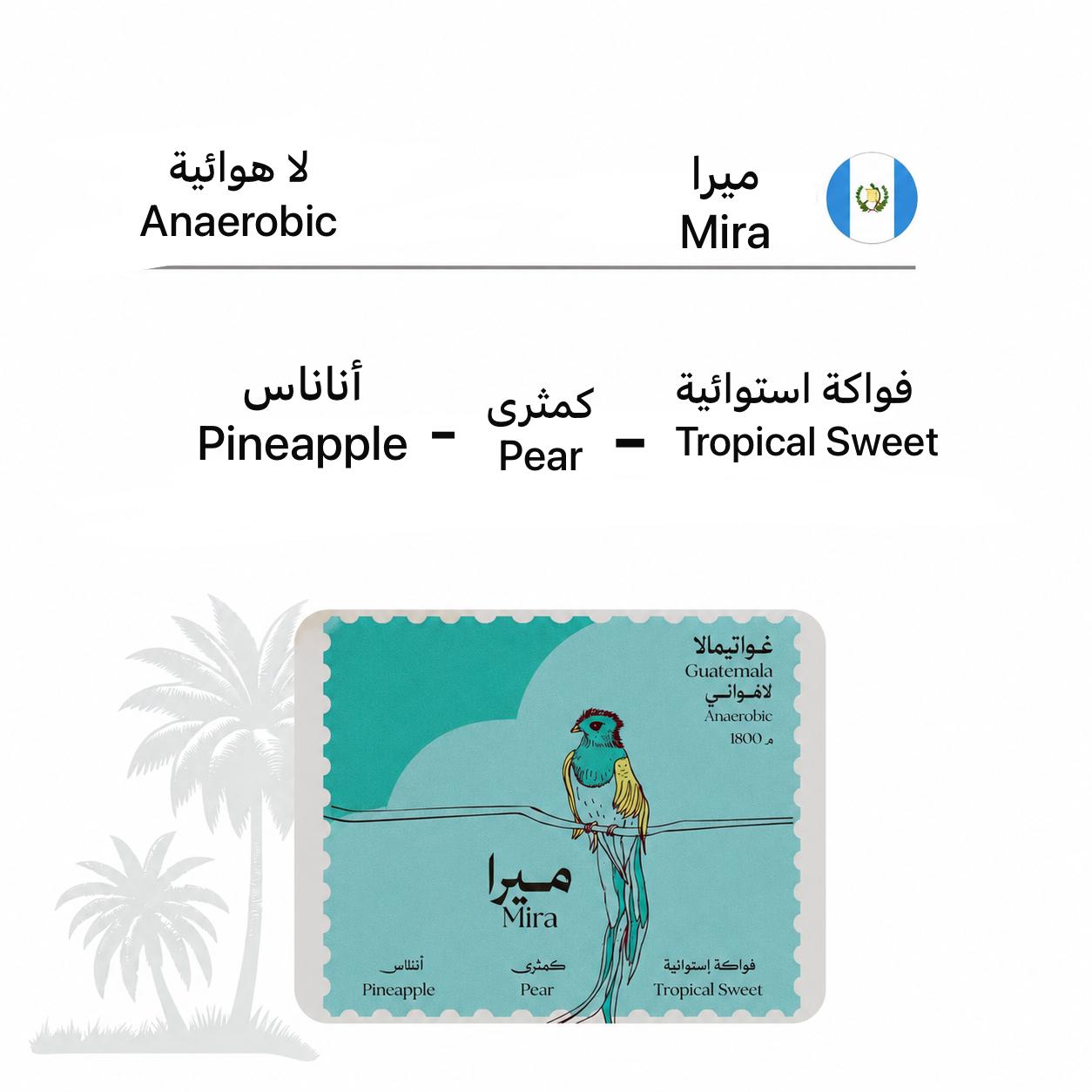 قائمتنا A NiF COFFEE whatsapp image 2026 05 20 at 1.46.21 am